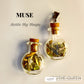 Bottle My Magic - Set of 13
